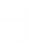 Né pour voler