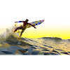 Surfer 3