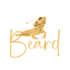 Bearded dragon