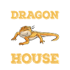 Bearded dragon