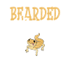 Dragon barbu