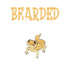 Bearded dragon