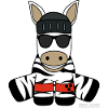 Blind Zebra