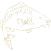 Angler - fishing - carp - hand-drawn