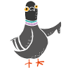 Coo / Boo Pigeon (White)