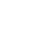 1981