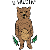U Wildin' Bear