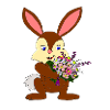 Rabbit with ostrich