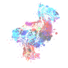 Dodo