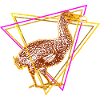 Dodo - extinct flightless bird