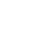 Anniversaire 1955 Édition Limitée 1955