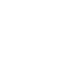 Anniversaire 1966 Édition Limitée 1966