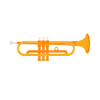 Trumpet Trumpet Player