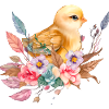 Cute chick nest flowers