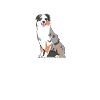 Australian Shepherd Gifts
