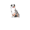 Australian Shepherd Gifts