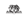 Australian Shepherd Gifts
