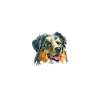 Australian Shepherd Gifts