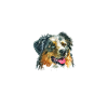 Australian Shepherd Gifts