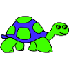cool turtle