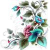 Delicate flowers