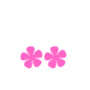 voisine cool