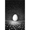 Cosmic Egg