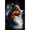 Shetland Sheepdog Dog Dog