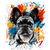 Bouledogue français