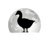 Gänse Mond Gänsezüchter Gans