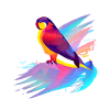 Budgerigar Bird Cockatiel Bird Propriétaire