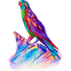 Budgerigar Bird Cockatiel Bird Propriétaire