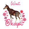 Wait I See An Okapi
