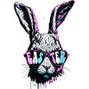 Groovy Rabbit With Sunglasses Easter Gift