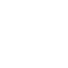 Team Members