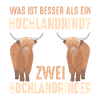 Was ist besser als ein Hochlandrind? Zwei