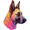 Belgian Malinois