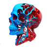 Anatomical drawing head red blue