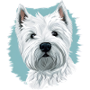 West Highland White Terrier