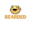Bearded dragon