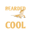 Bearded dragon