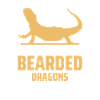 Bearded dragon
