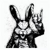 Rock it, Rabbit