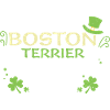 Boston Terrier - Saint-Patrick