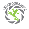 Funny Frogtographer Frog - Frogtography