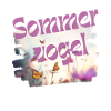 Summer bird - Butterfly - Vocabulary