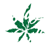 Stay Chill Marijuana