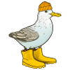 Rubber boots seagull