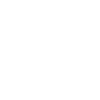 Mushroom in the rain