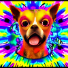 High Chihuahua in Digital Art